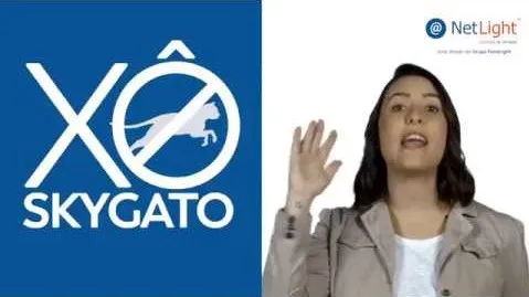 Perigos do gato TV.
